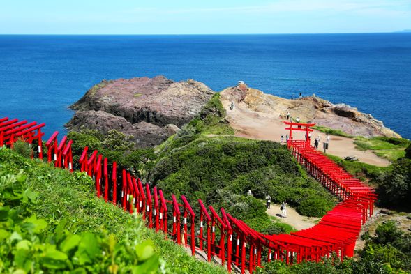 Motonosumi Shrine / 123 vermilion torii gates