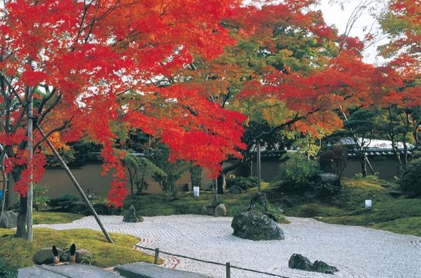 After we reach Zuiganji Temple, you’ll have free time. Our student guides will point you toward their favorite food spots or the best spots for autumn foliage.