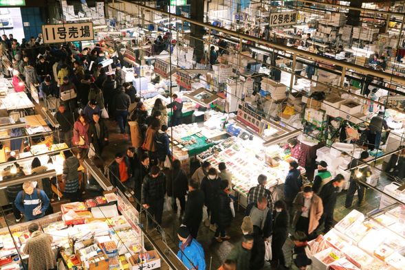 Stroll around Shiogama Fish Market, Japan Top Tuna market.
