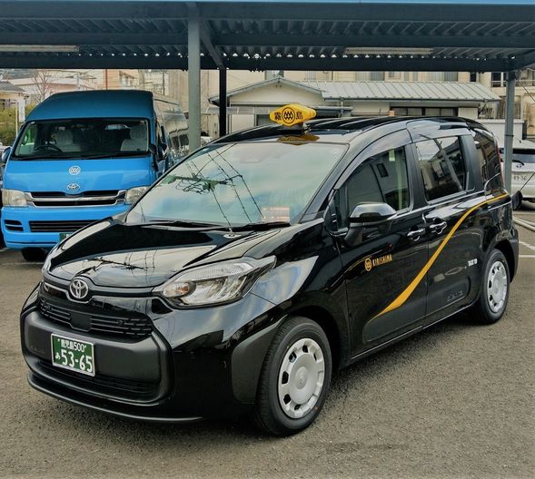 Depart from kagoshima Airport.