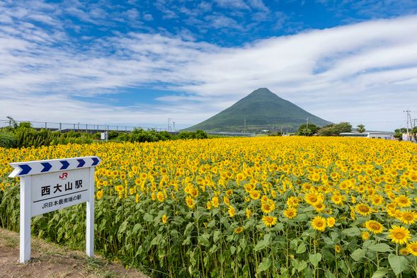 JR Honshu's southern most station
Nishi-Oyama Station