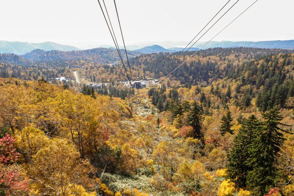 Asahidake ropeway (sky tram)
After lunch, you will board the Asahidake ropeway by yourself.