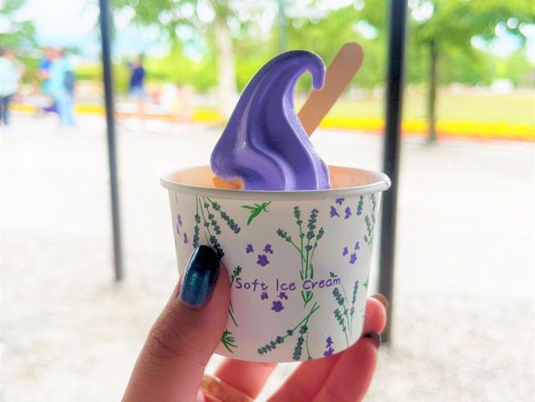 Recommendations:(Prices are subject to change)
Fresh-baked melon bread : 380yen
Lavender Ice Cream: cone 400 yen, cup 350 yen
Ice Cream cup : 380 yen