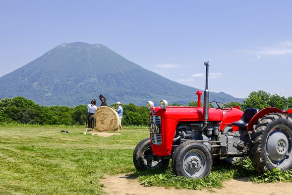 Niseko Milk Kobo (Free time & Shopping / Approx. 25 mins )