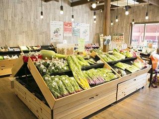 COCOROFARM VILLAGE
★Special Event: All-You-Can-Pack of Vegetable
(approx. 30min)