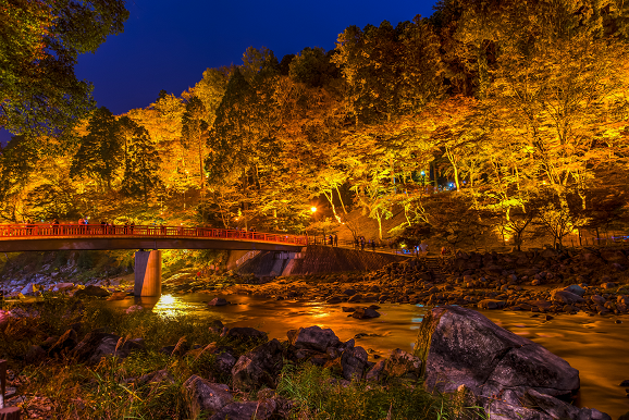 Korankei Autumn Leaves Festival Light-up
(approx. 140 mins)
★A meal coupon for eating and walking is included (worth 1,100 yen)