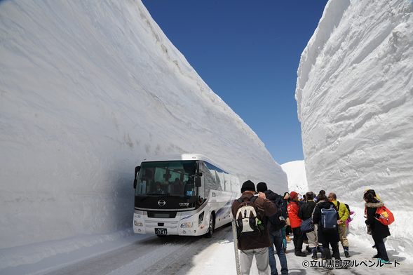Tateyama Toll Road
☆We will ascend Tateyama by tour bus!
↓
Tateyama Kurobe Alpine Route / Murodo Terminal (Free time for sightseeing / About 110 minutes)
*Please enjoy the Snow Wall on your own
↓
Tateyama Toll Road
