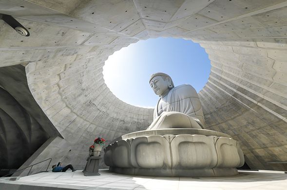 Head Buddha:
The Hill of the Buddha is a 13.5-meter-tall stone statue weighing 1,500 tons, roughly the same size as the Great Buddha of Kamakura.
Designed by world-renowned architect Tadao Ando, it features a unique design where only the Buddha's head peers out from the lavender hill.
(Partially indoors / Open 10:00–15:00)