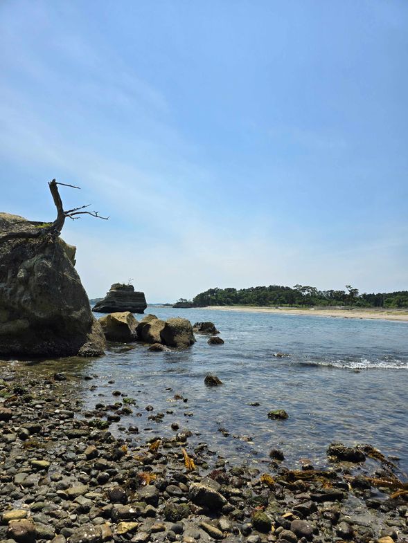 Michinoku Shiogama - Katsurajima - Nonoshima - Miyato
(island hopping)
12:20
Lunch box lunch on the way to the trail