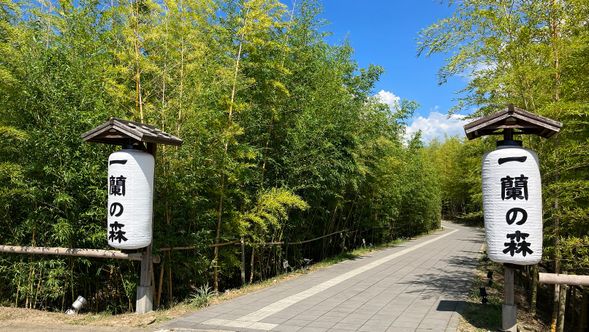 Arrive at Ichiran Forest(11:50~12:50)
self-service travel* As for lunch and sightseeing, please feel free to have on your own.