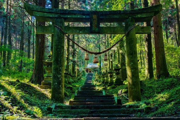 (13:30~14:10)上色見熊野座神社 自由觀光(約40分鐘)
上色見熊野座神社是一座靜謐莊嚴的山間神社,因傳說與神祕氣息而被譽為「通往神界的入口」。