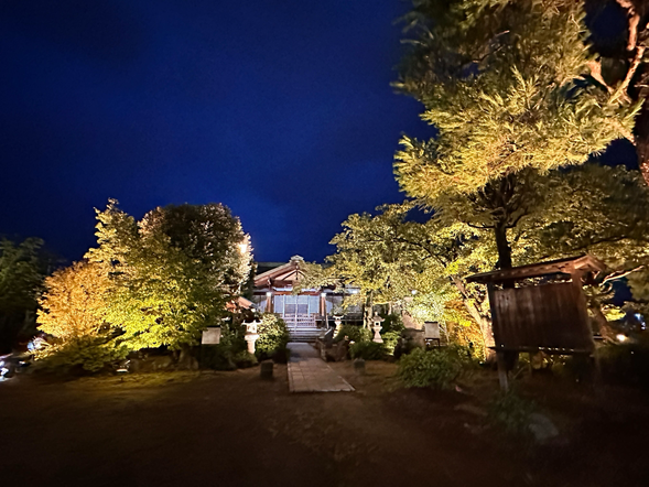 Light-up stroll around Yakushido Temple