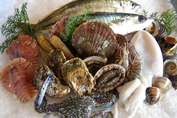 Lunch: Seafood BBQ Facility
Not included in the tour price; payment is made locally.
The photo shows seafood available in Kitsuki City.