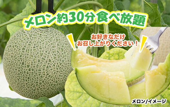 At Fruit Village Tabaruzaka, enjoy all-you-can-eat sweet and juicy melon!