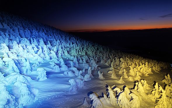 Zao Ropeway & "Snow Monster" (Juhyo) Illumination
(View the magical, spectacular illuminated "Snow Monsters" emerging from the pitch-black night / Approx. 90 min)