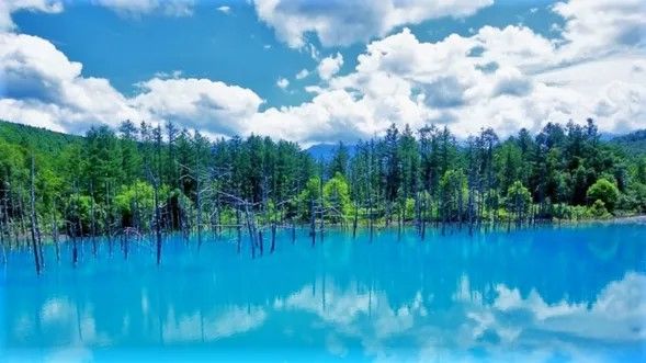 Shirogane Blue Pond / Aoiike (20)