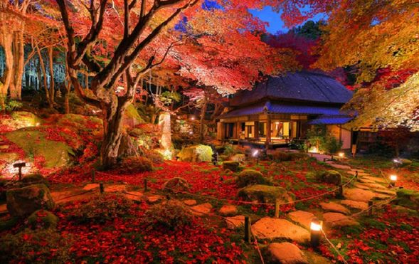 Kyōrinbō Temple
Visit a hidden village that preserves Japan’s traditional scenery,
and enjoy the special autumn illumination of the bamboo grove and colorful foliage.