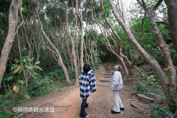 16:00 Itoshima Totoro Forest (30min)