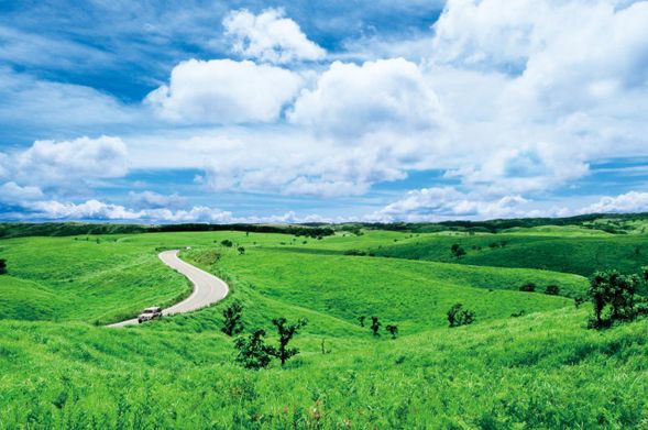 Milk Road
*From the car window