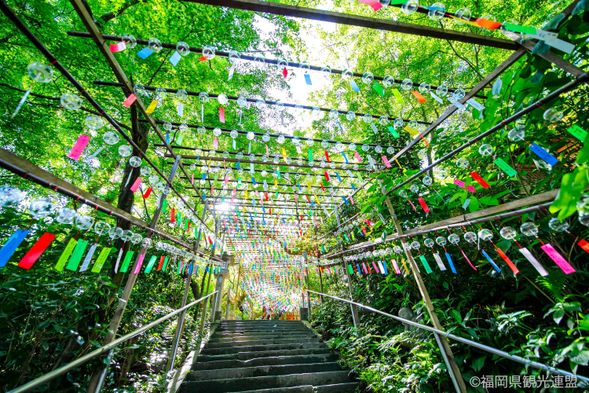 Arrival at Nyoirin-ji Temple (40 mins.)
stopover only during the Wind Bell Festival