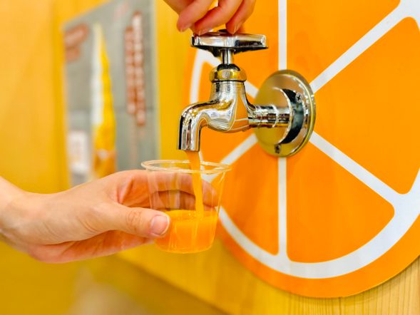 <Nihondaira Ropeway / Approx. 5 minutes>
↓
Nihondaira Ropeway "Nihondaira Station" / Nihondaira Yume Terrace / Monzen no Megumi Tairagi
(Enjoy majestic Mt. Fuji and 360-degree panoramic views & enjoy 100% Shizuoka-grown Unshu mandarin juice served at the tap)