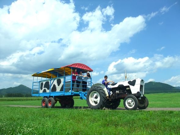 Come and enjoy interacting with our adorable cows and the refreshing atmosphere of our open ranch! We hope you love our fresh milk and dairy products too!