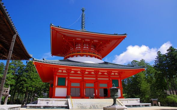 Kongobu-ji Temple and Danjo Garan Area, World Heritage Site
(Free time to explore and visit the area around Kongobu-ji Temple, where many of Koyasan's highlights, such as the Konpon Daito and Kondo, are located / approx. 90 minutes)
*Admission fees for Kongobu-ji Temple, Konpon Daito, and Kondo are not included in the tour price.