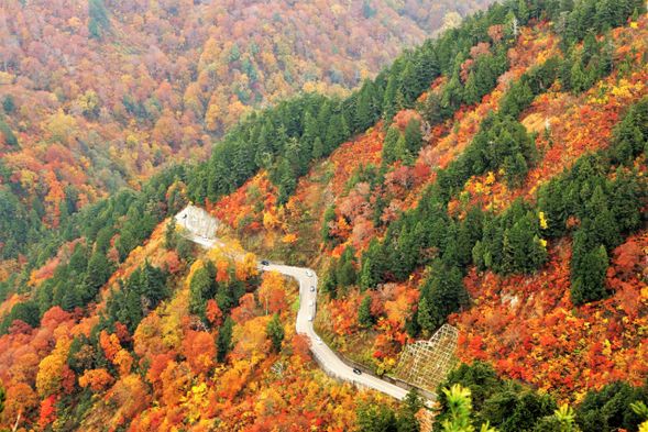 Hakusan Shirakawa-go White Road Drive
※On the way, we will stop at a roadside station and a view point.
(Approx. 120 min.)