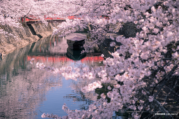 Ogaki Boat Rafting(30 minutes/Admission fee included)
