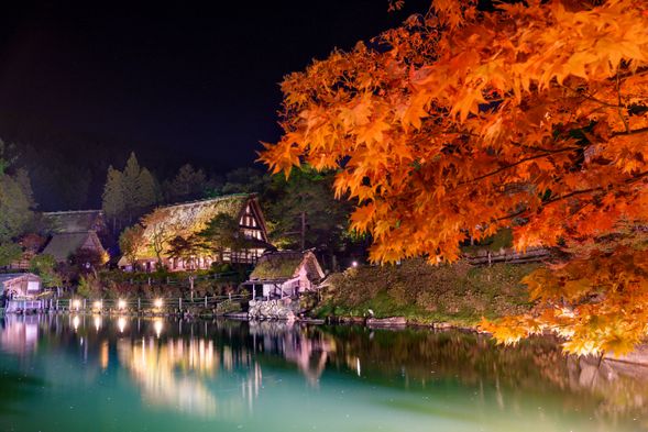 Hida Folk Village (Hida no Sato)
(Enjoy the illumination of autumn leaves and Gassho-style thatched-roof houses / approx. 40 mins)