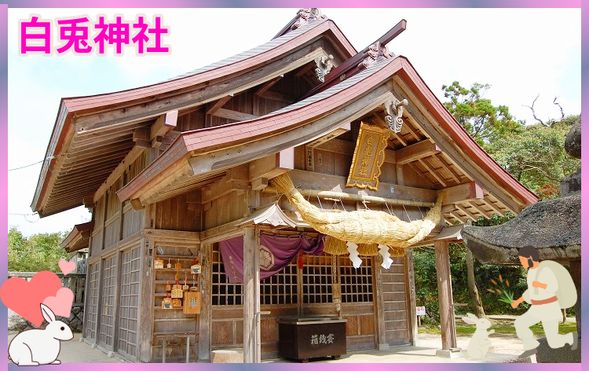 White Rabbit Shrine: Visit this romantic power spot, famous for the “Inaba White Rabbit” myth, and see cute rabbit-themed charms and amulets (approx. 40 minutes).