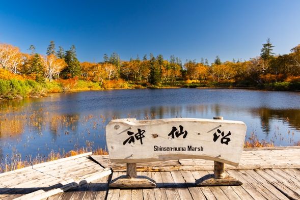 Shinsen-numa Marsh(55 min Free time)