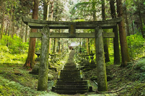 【PLAN2】Kamishikimi Kumanoza Shrine
