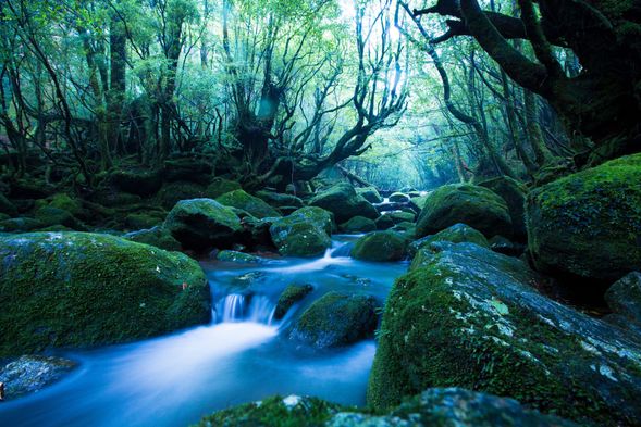 (A course)SHIRATANIUNSUIKYOU
(Taikoiwa Rock New Hike)