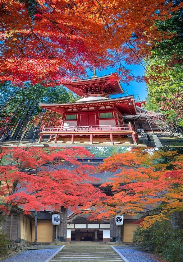 Kongobu-ji Temple & Danjo Garan
(Free walk and worship around Kongobu-ji Temple, where you can feel autumn and see the sights of Mt. Koya, such as the Konpon Daito and Kondo Hall / approx. 90 minutes)