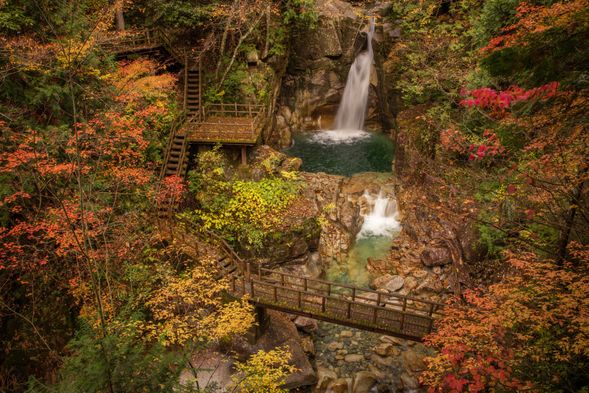 Yumori Valley & Ryujin Falls
(Stroll through one of Japan's top hidden gems surrounded by overwhelming natural beauty, featuring over 15,000 vibrant maple trees and a stunning waterfall tied to dragon legends / Approx. 60 min.)