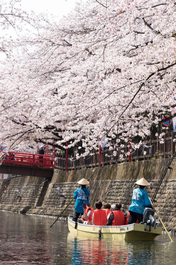 Ogaki Boat Trip (Take a relaxing traditional boat trip down the Suimon River in Ogaki City, known as the "City of Water". The river is famous for being the final leg of the journey described in Matsuo Basho's renowned travelogue, The Narrow Road to the Deep North【Oku no Hosomichi】 / 45mins).