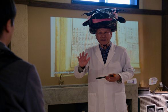 Tajima Cattle Museum(60 minutes/Admission fee included)