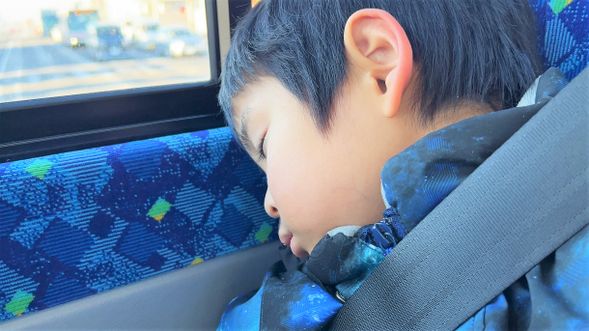 If you get tired from all the fun, you can relax and rest on the bus ride back.