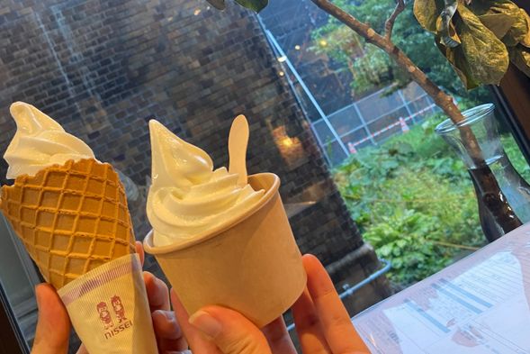 ▶Enjoy the authentic Hokkaido milk ice cream at the Hokkaido University Museum