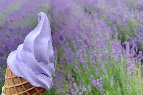 (70 mins)
Enjoy lavender soft serve ice cream, lavender tea, and shopping for lavender goods with a soothing scent.