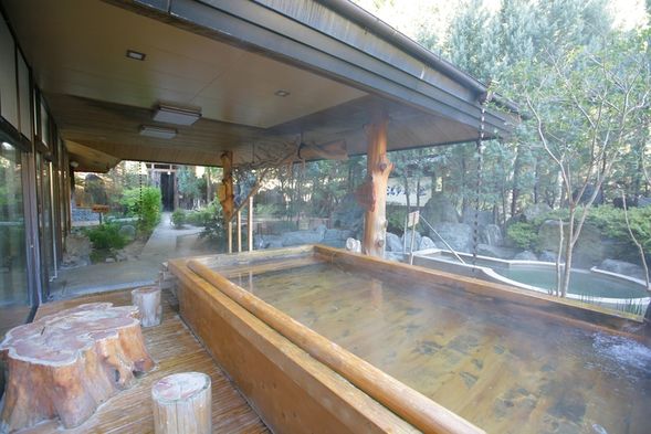 Arrive at Hirugami Onsen Yunotari no Sato Inaka around 4:00 PM.
Relax in the hotel's 19 hot spring baths.
Enjoy an all-you-can-eat buffet dinner with over 60 Japanese, Western, and Chinese dishes, including crab legs.
Overnight at Hirugami Onsen.