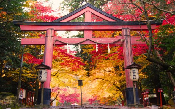 Hiyoshi Taisha Shrine
(A leisurely visit to this historic shrine nestled at the foot of Mt. Hiei / Approx. 60 min)