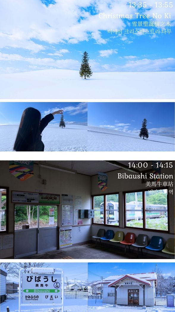 W3-1, W3-2
Christmas Tree No Ki
W3-1, W3-2
Bibaushi Station