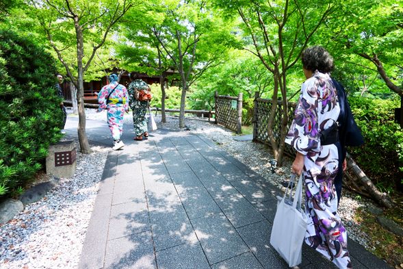 ăHalf Day Guide Toură
Please choose your preferred start time for the kimono dressing and Hair styling: 9:00 AM / 10:00 AM / 11:00 AM / 12:00 PM
The total duration is 5 hours, which includes 1 hour for the dressing.