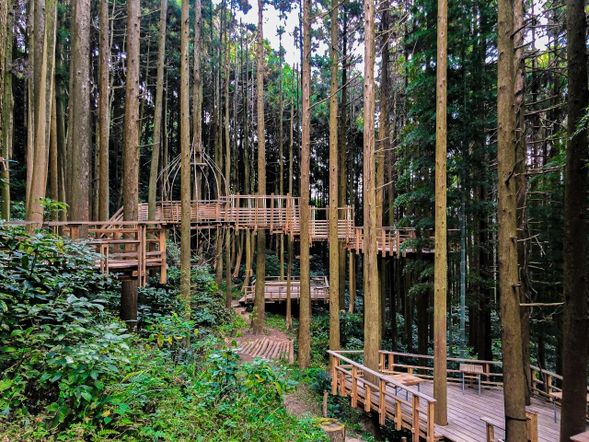 13:00 – Forest Cafe "Midori no Uta" (60 mins)