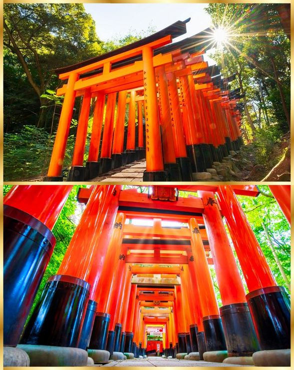 Fushimi Inari Taisha Shrine
(Guide to the power spot famous for its thousand torii gates/about 70 minutes)