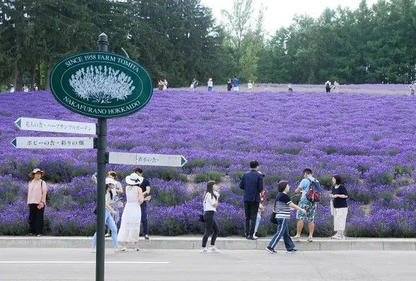 Exploring Farm Tomita (60 min)