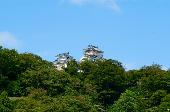 Echizen Ono Castle(Admission fee is included/75min)