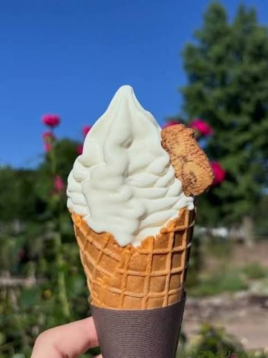 ASO MILK FACTORY
Treat rich soft-serve ice cream